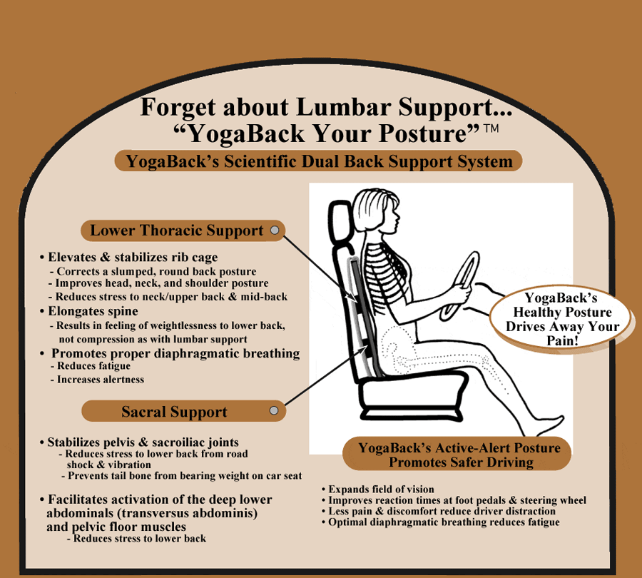 Thoracic Lumbar Back Support, Sitting Posture