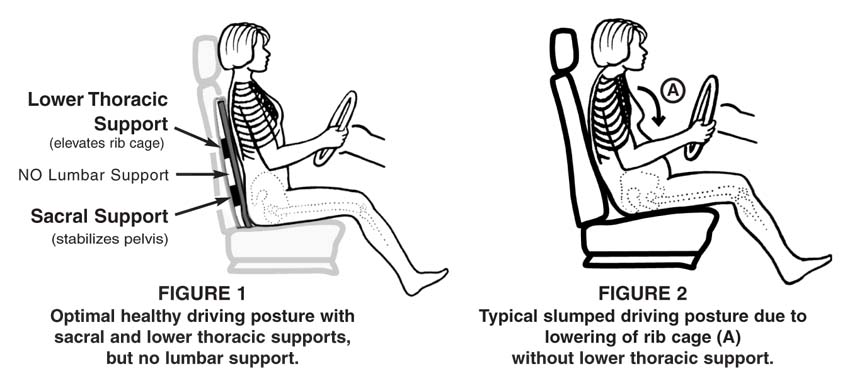 Lumbar Support Cushions  Lumbar support cushion, Shoulder pain, Back pain